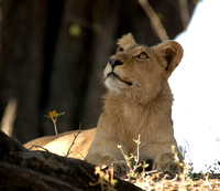 Southern Africa Slide Show