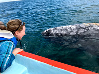 Baja Whale Camp
